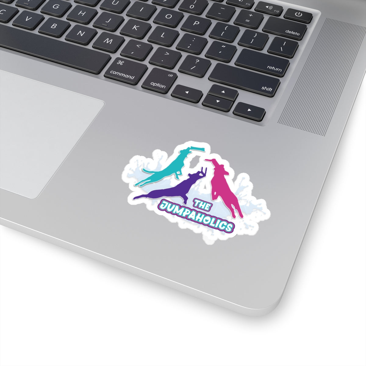 Jumpaholics Stickers