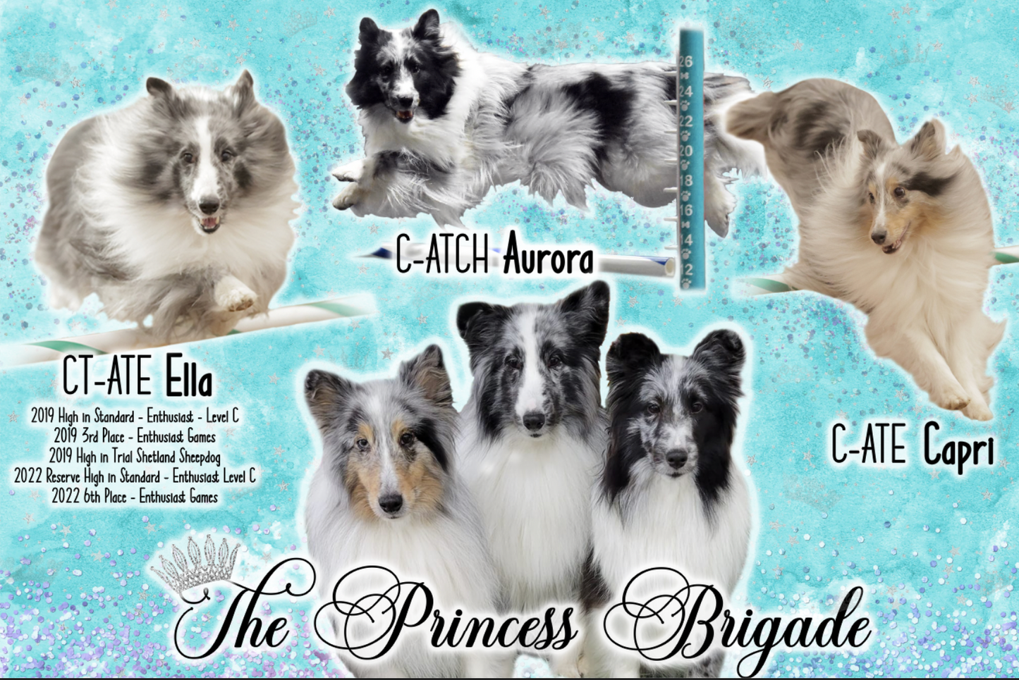 Custom Dog Agility Banner Design