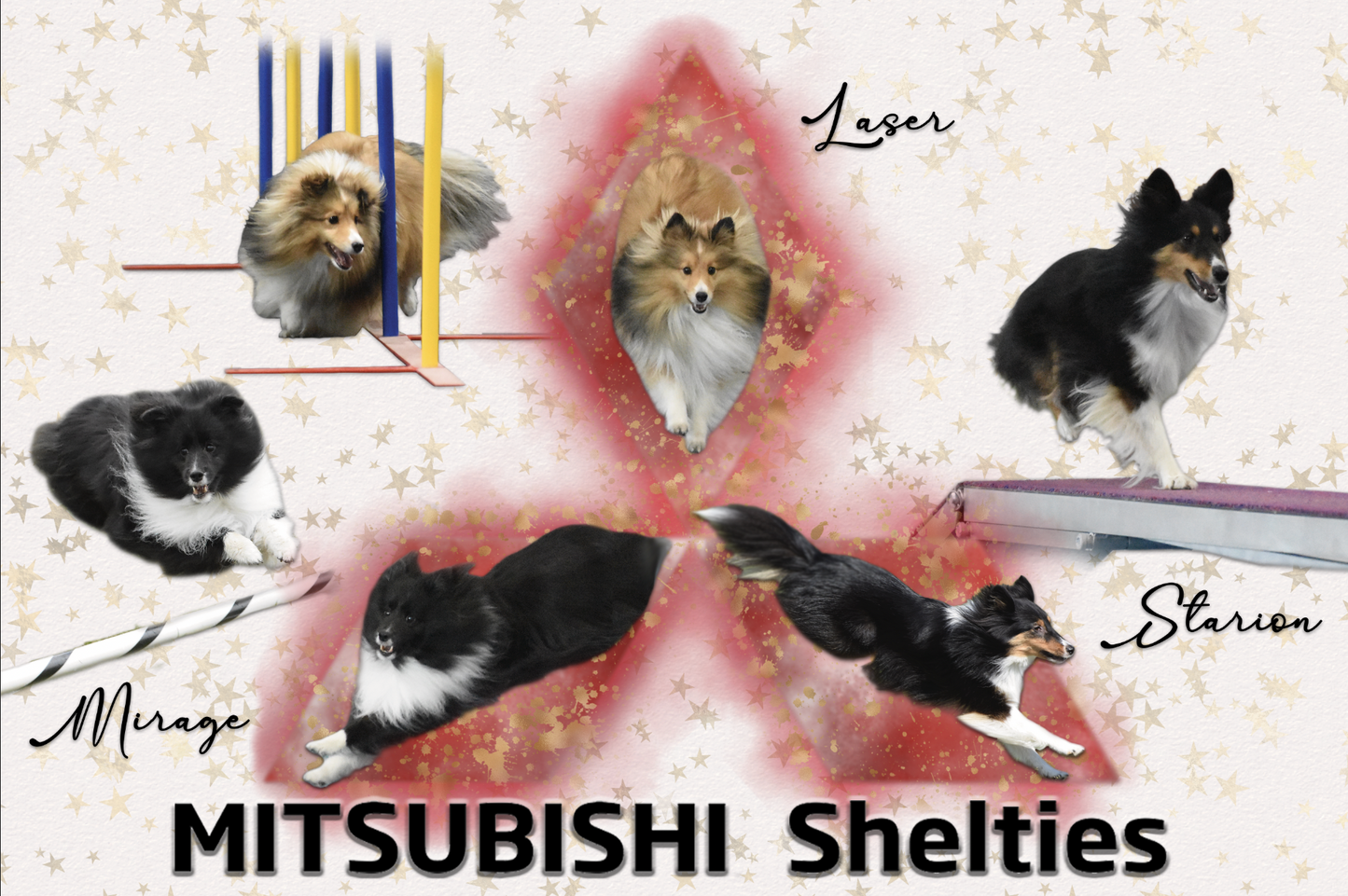 Custom Dog Agility Banner Design