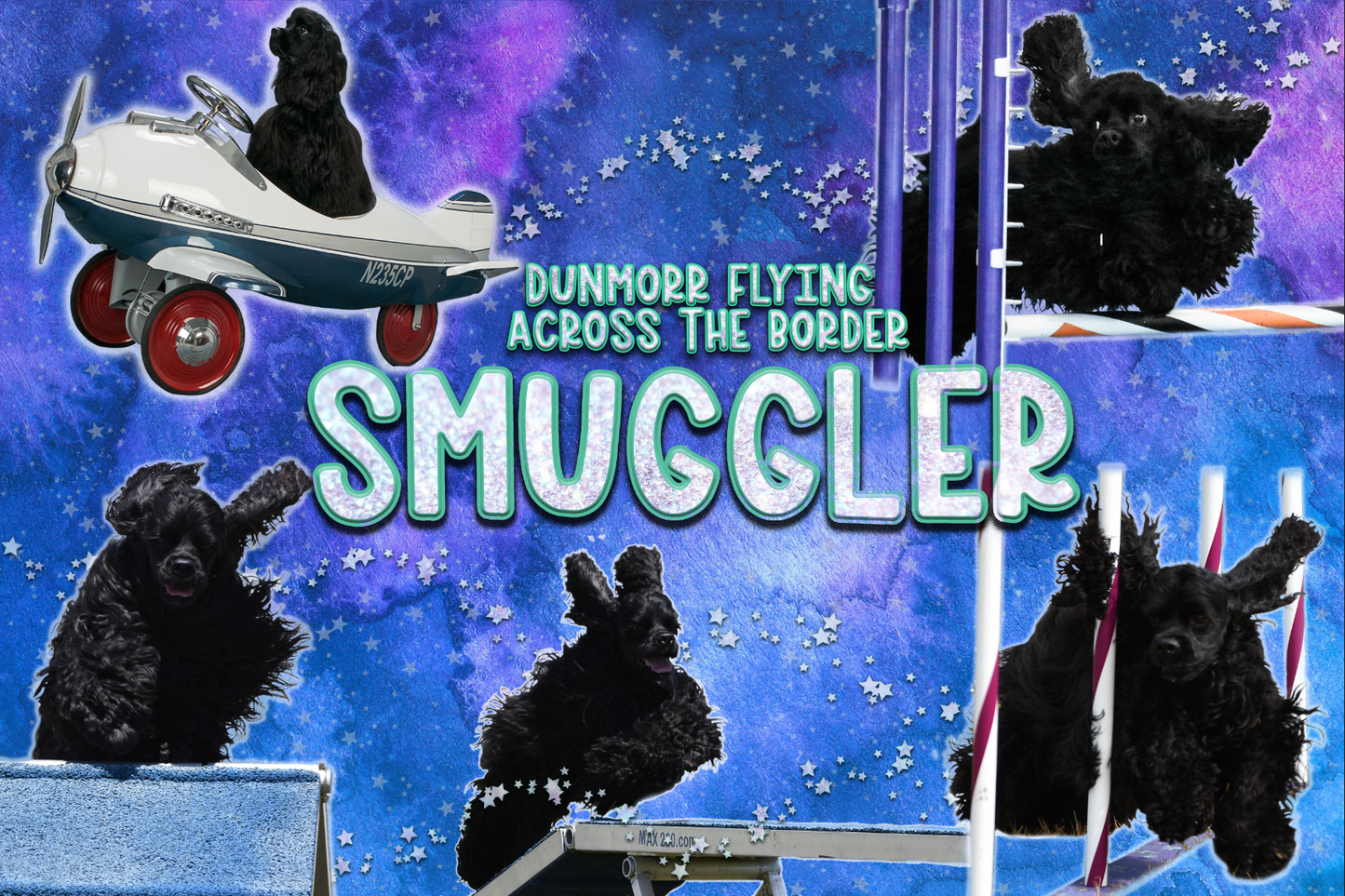 Custom Dog Agility Banner Design