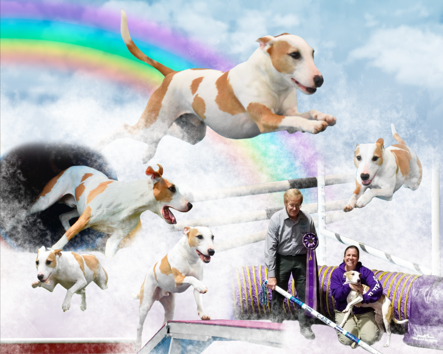 Custom Dog Agility Banner Design