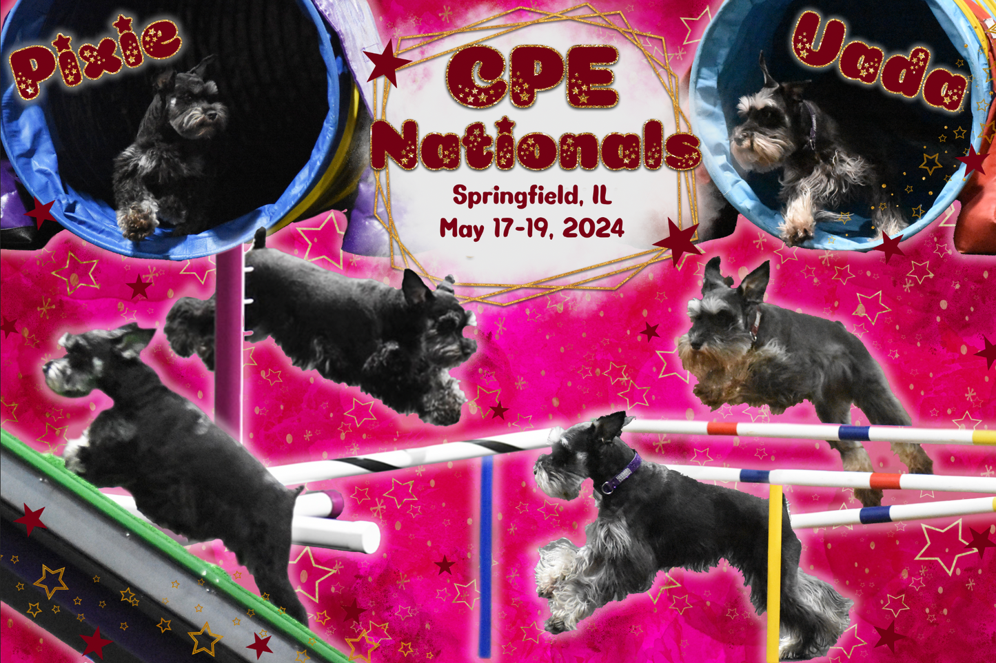 Custom Dog Agility Banner Design