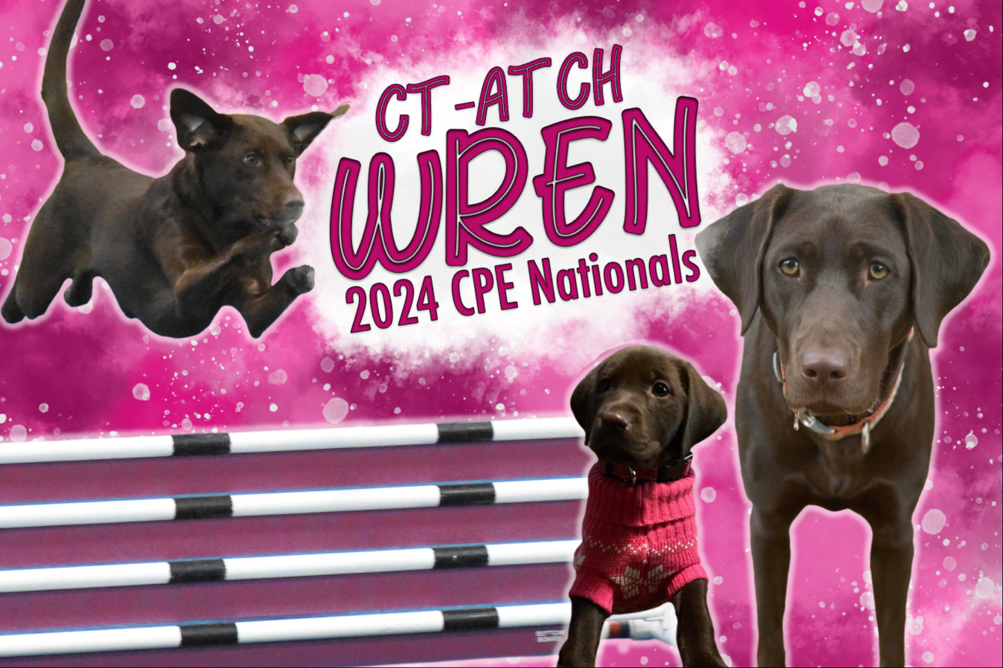 Custom Dog Agility Banner Design