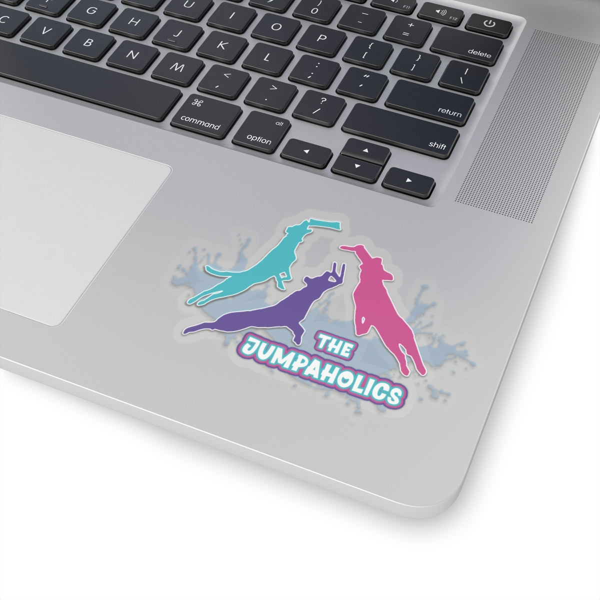 Jumpaholics Stickers