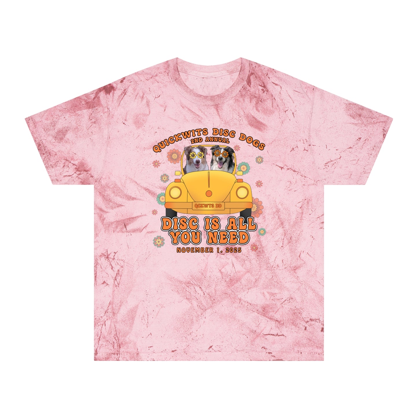 Comfort Colors Color Blast Disc is All You Need T-shirt