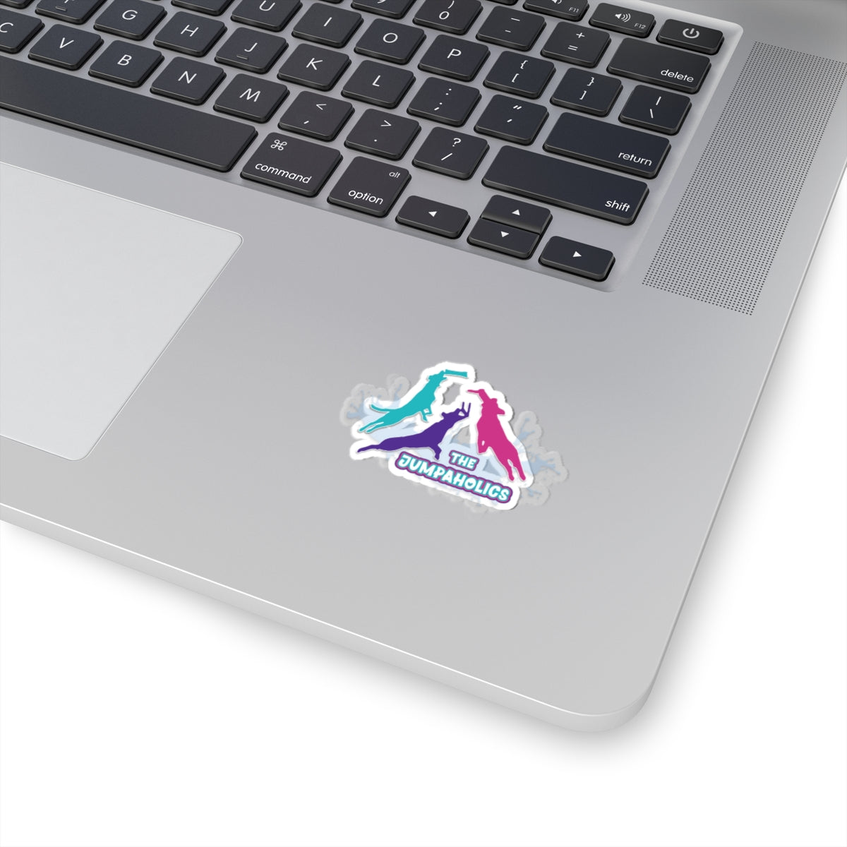 Jumpaholics Stickers