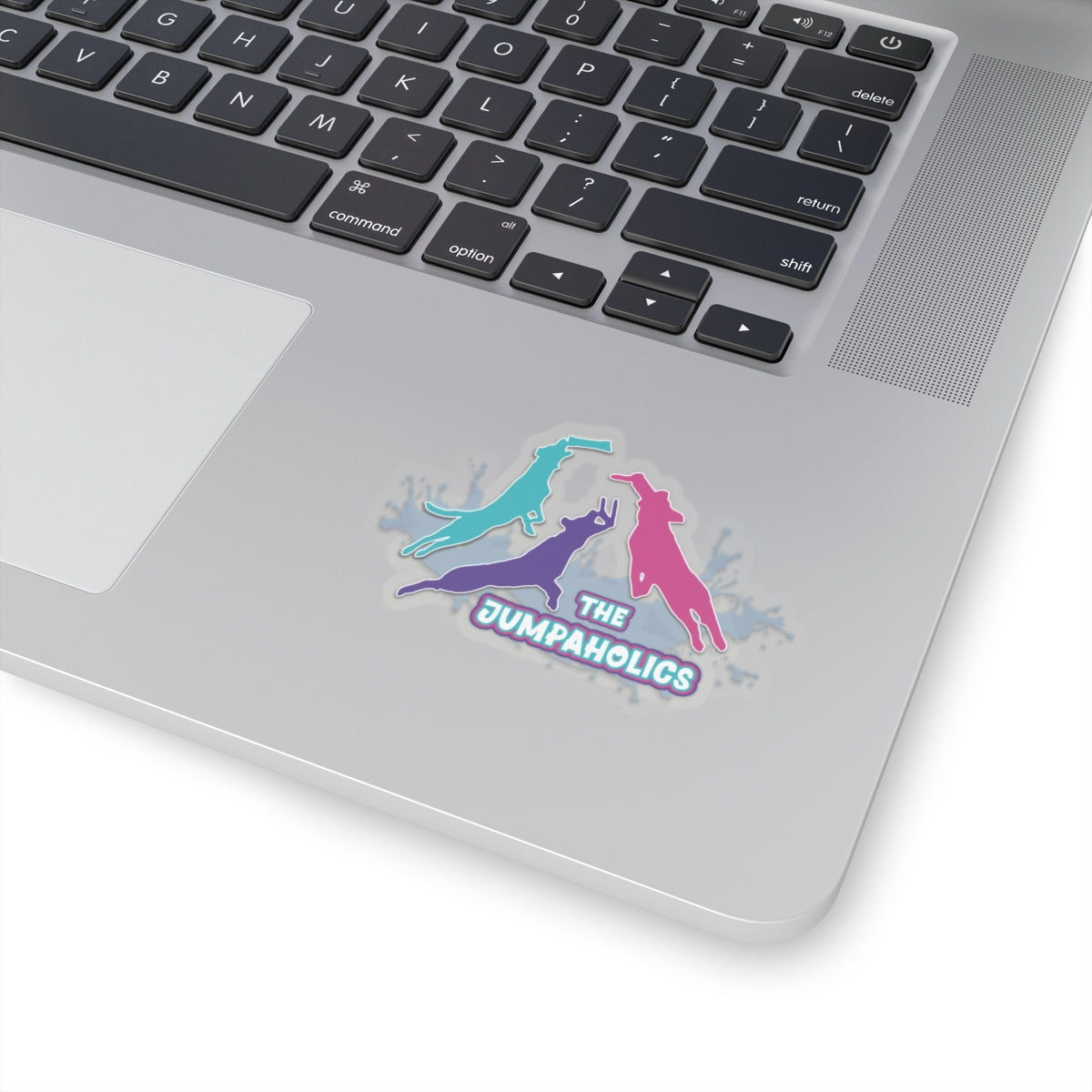 Jumpaholics Stickers