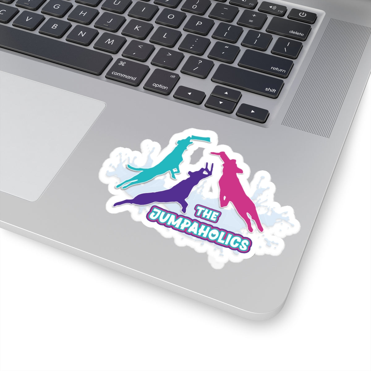 Jumpaholics Stickers
