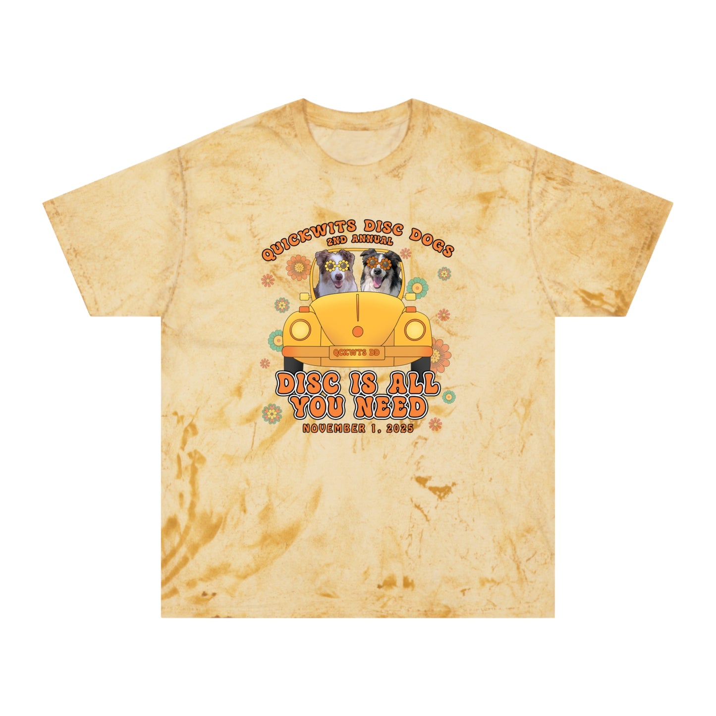 Comfort Colors Color Blast Disc is All You Need T-shirt
